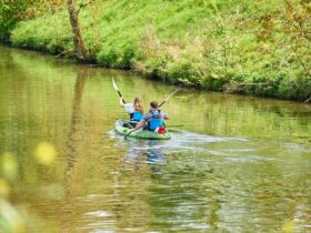 These Rare Wildflowers Only Bloom for Weeks Each Year—and the Best Way to See Them Is by Kayak - Photo by Wijs (Wise) on Pexels