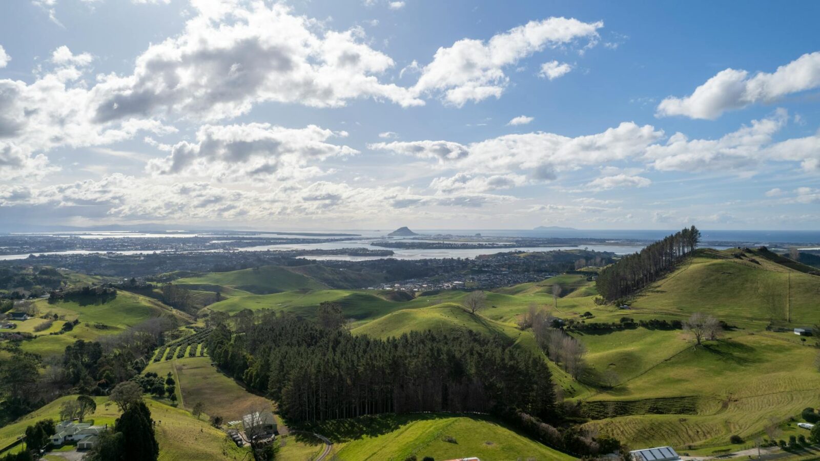 New overseas investment rules inject billions into local economy - Photo by Ollie Craig on Pexels