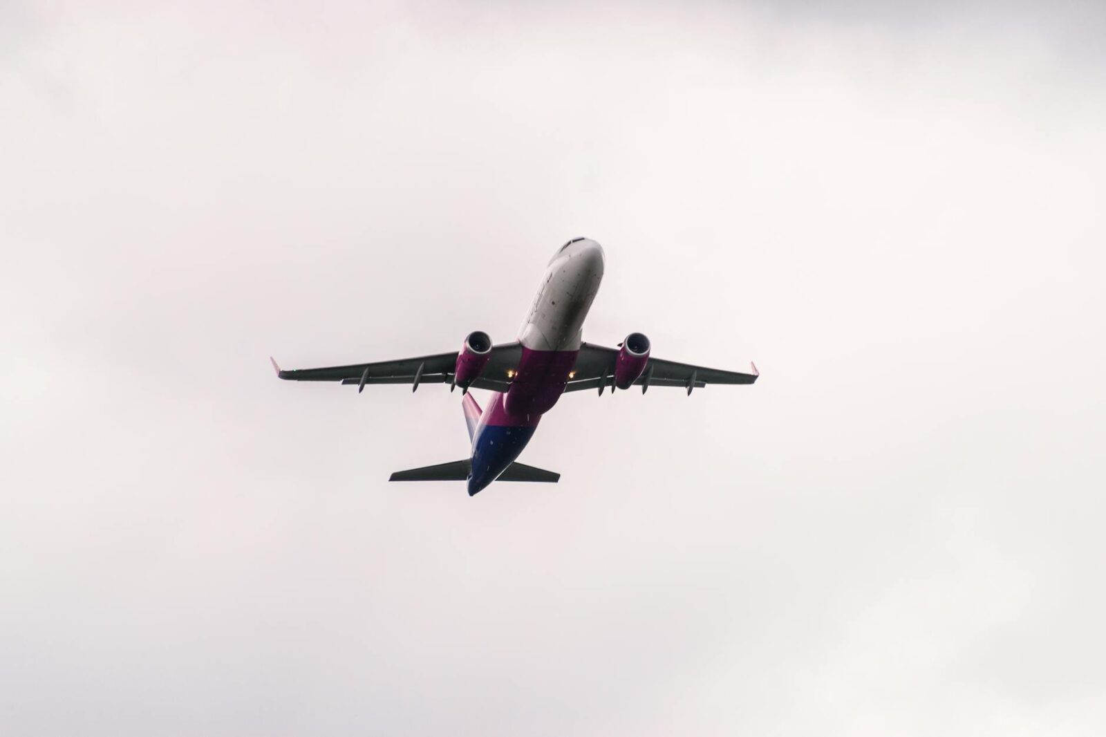 Air New Zealand ‘Can’t Recover the Full Cost of This Fuel,’ CEO Says - Photo by Diana ✨ on Pexels