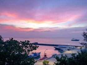 10 Best Santa Barbara Hotels for Resort Stays and Beach Retreats - Photo by Asad Photo Maldives on Pexels