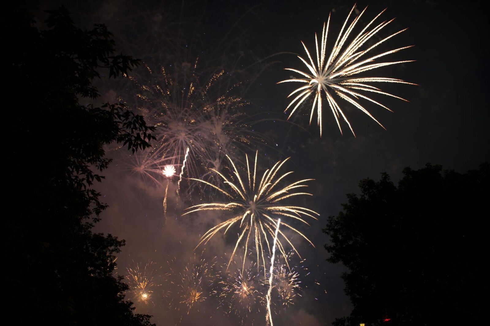 willie geist - Photo by Alper Çakır on Pexels
