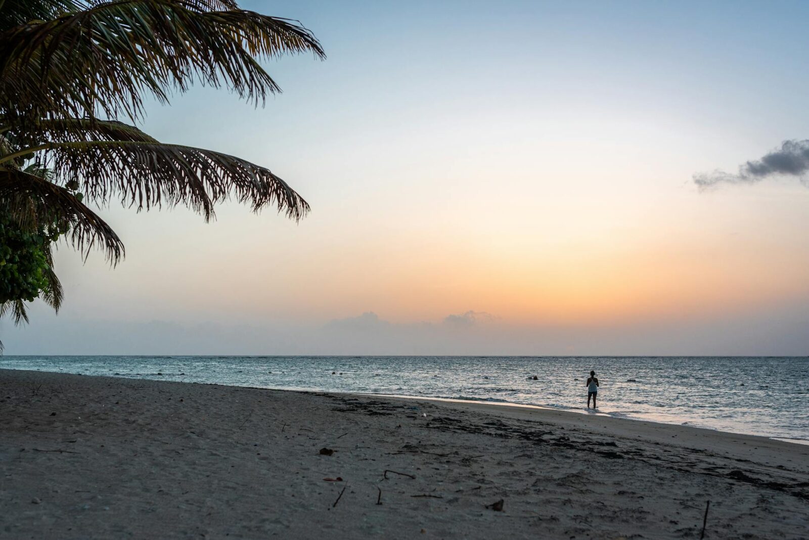 Countries That Offer Citizenship by Investment in 2026 — Updated Guide - Photo by Dominik Gryzbon on Pexels