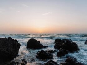 Where to Go in Goa, India, According to a Local Artist and Restaurateur - Photo by K on Pexels