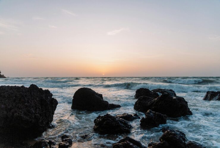 Where to Go in Goa, India, According to a Local Artist and Restaurateur - Photo by K on Pexels