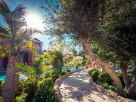 Four Seasons Resort Marrakech Strengthens Its Commitment to Responsible Hospitality - Photo by Nikolaj Erema on Pexels