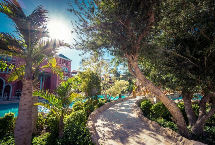 Four Seasons Resort Marrakech Strengthens Its Commitment to Responsible Hospitality - Photo by Nikolaj Erema on Pexels