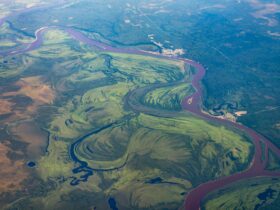 Level 2 - Meningococcal Disease in the Democratic Republic of the Congo - Photo by Denis Ovsyannikov on Pexels