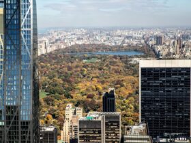 11 New York City Hotels With Views of Central Park - Photo by Louis on Pexels