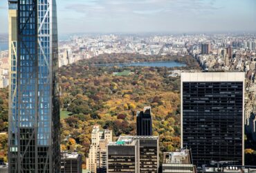 11 New York City Hotels With Views of Central Park - Photo by Louis on Pexels