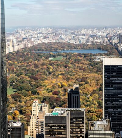 11 New York City Hotels With Views of Central Park - Photo by Louis on Pexels