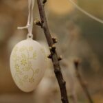 Prime Minister's Easter message 2026 - Photo by Christina & Peter on Pexels