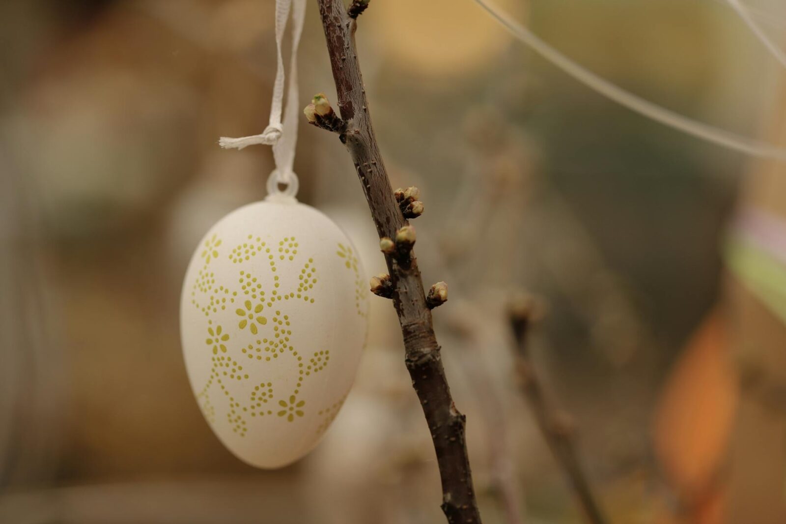 Prime Minister's Easter message 2026 - Photo by Christina & Peter on Pexels