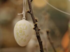 Prime Minister's Easter message 2026 - Photo by Christina & Peter on Pexels