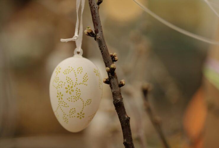 Prime Minister's Easter message 2026 - Photo by Christina & Peter on Pexels