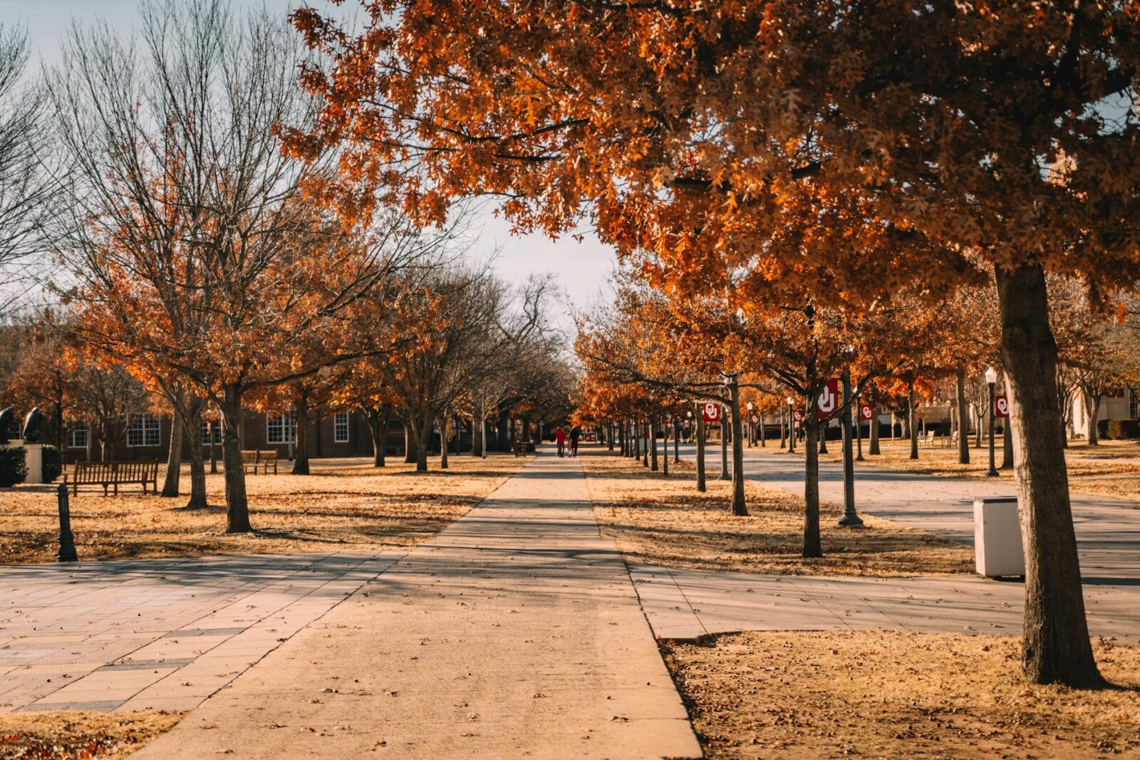 willie geist - Photo by An Vuong on Pexels