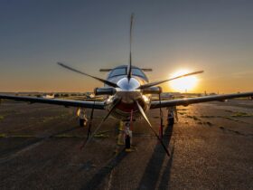 cheap flights to london - Photo by Joerg Mangelsen on Pexels