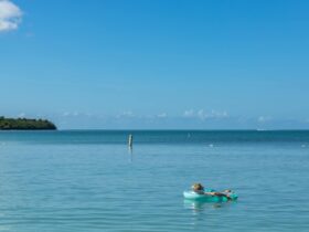 10 Unique Countries Without Land Borders You Should Know About - Photo by Matthew Hernandez on Pexels