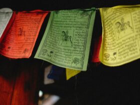 Leh Ladakh Road Trip Complete Itinerary and Budget Breakdown - Photo by Alexey Demidov on Pexels