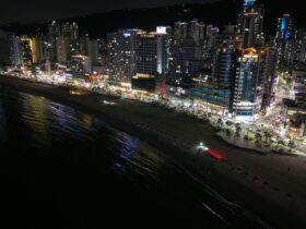 South Korea for First Timers Seoul Busan and Beyond - Photo by Jhany Blue on Pexels