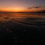 Level 2 - Chikungunya in Mayotte - Photo by Vladyslav Dushenkovsky on Pexels