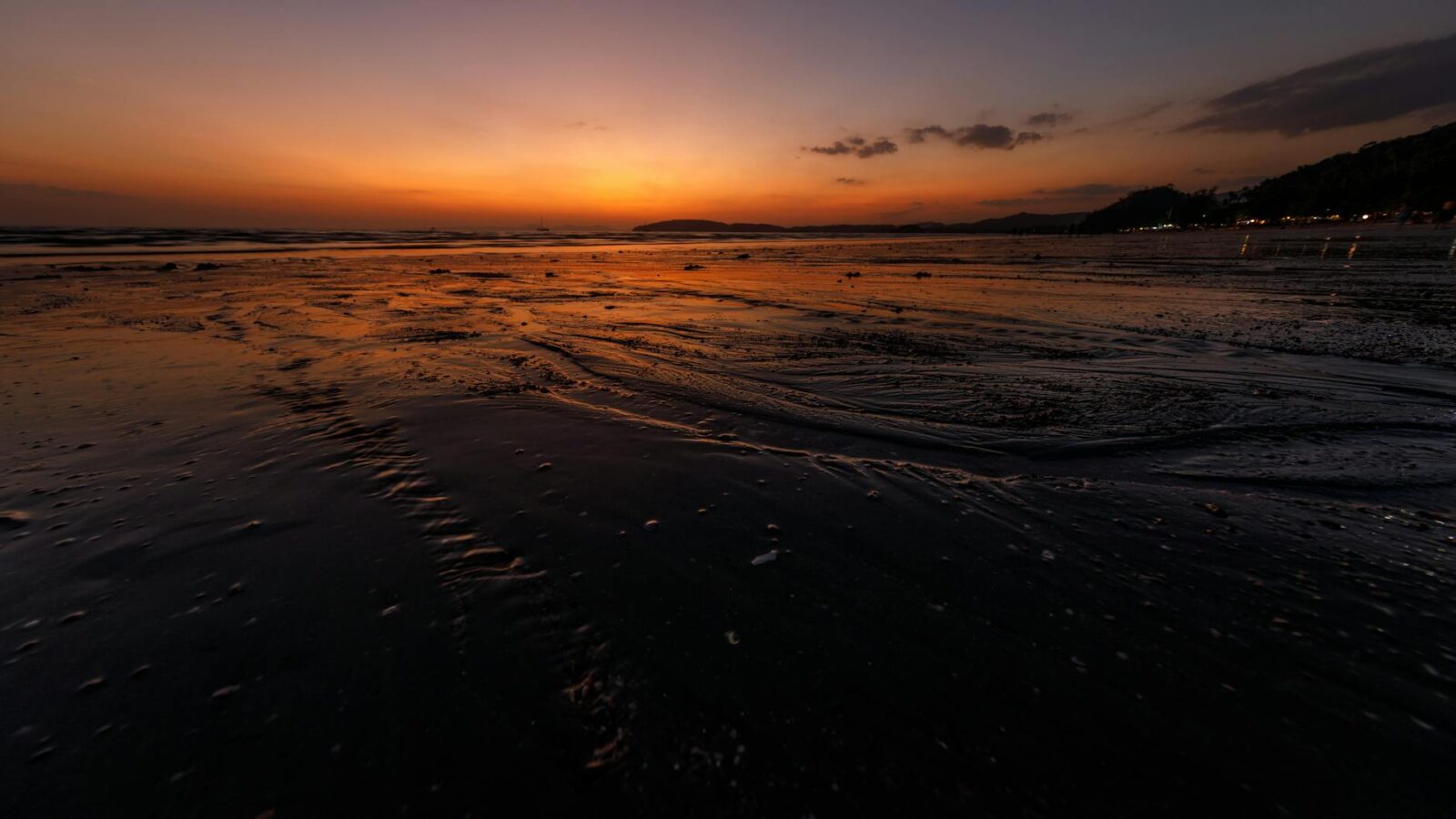 Level 2 - Chikungunya in Mayotte - Photo by Vladyslav Dushenkovsky on Pexels