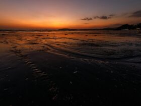 Level 2 - Chikungunya in Mayotte - Photo by Vladyslav Dushenkovsky on Pexels