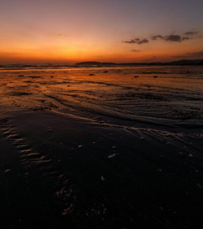 Level 2 - Chikungunya in Mayotte - Photo by Vladyslav Dushenkovsky on Pexels