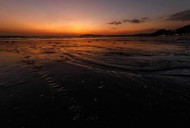 Level 2 - Chikungunya in Mayotte - Photo by Vladyslav Dushenkovsky on Pexels