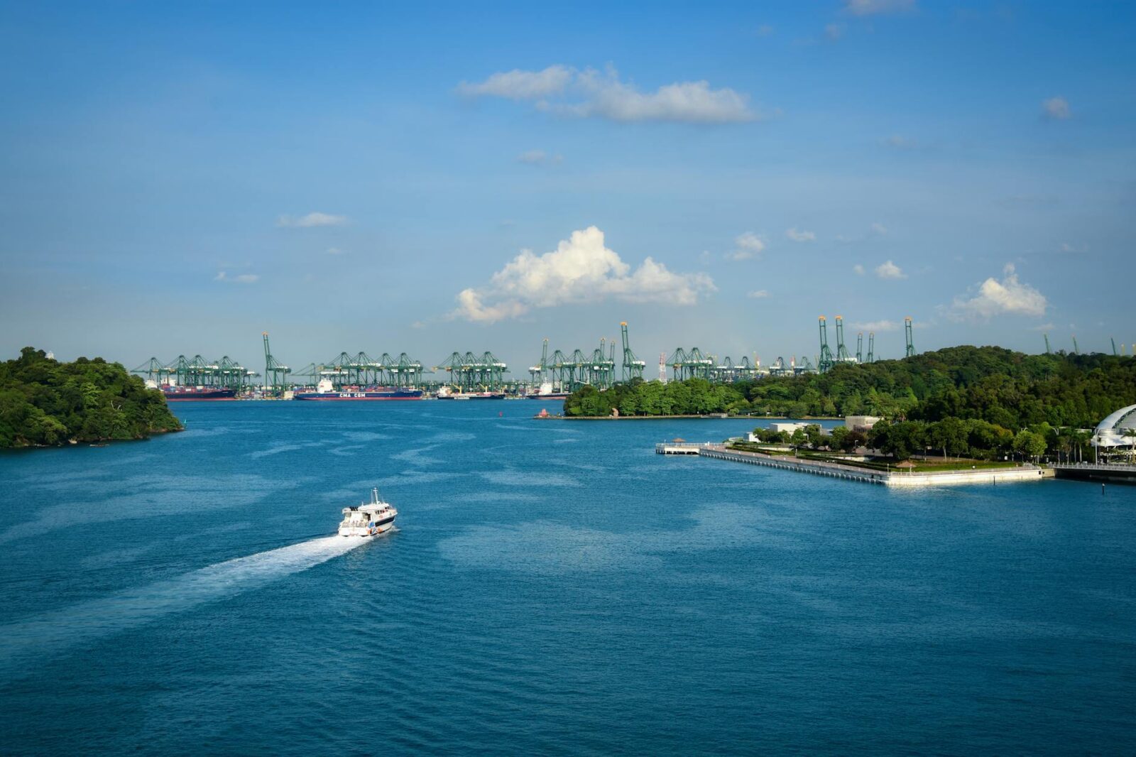 cruise travel insurance singapore - Photo by Joerg Hartmann on Pexels