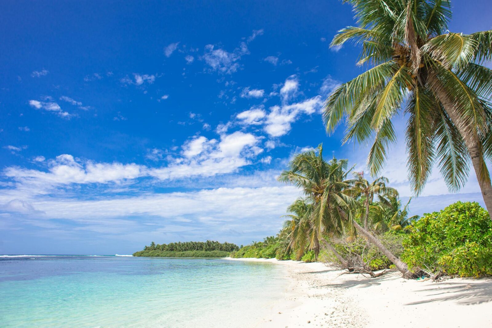 Want to Retire Abroad Tax-Free? These Are the Best Countries to Relocate To - Photo by Asad Photo Maldives on Pexels