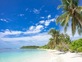 Want to Retire Abroad Tax-Free? These Are the Best Countries to Relocate To - Photo by Asad Photo Maldives on Pexels