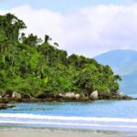 bintan visa on arrival - Photo by Albano Ribas on Pexels