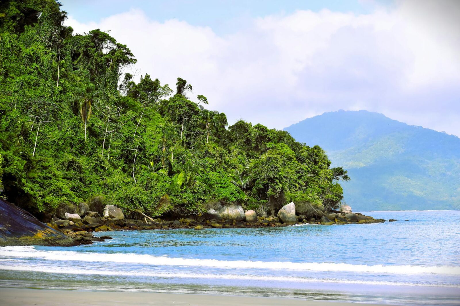 bintan visa on arrival - Photo by Albano Ribas on Pexels