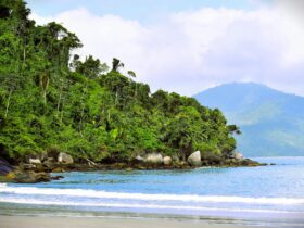 bintan visa on arrival - Photo by Albano Ribas on Pexels