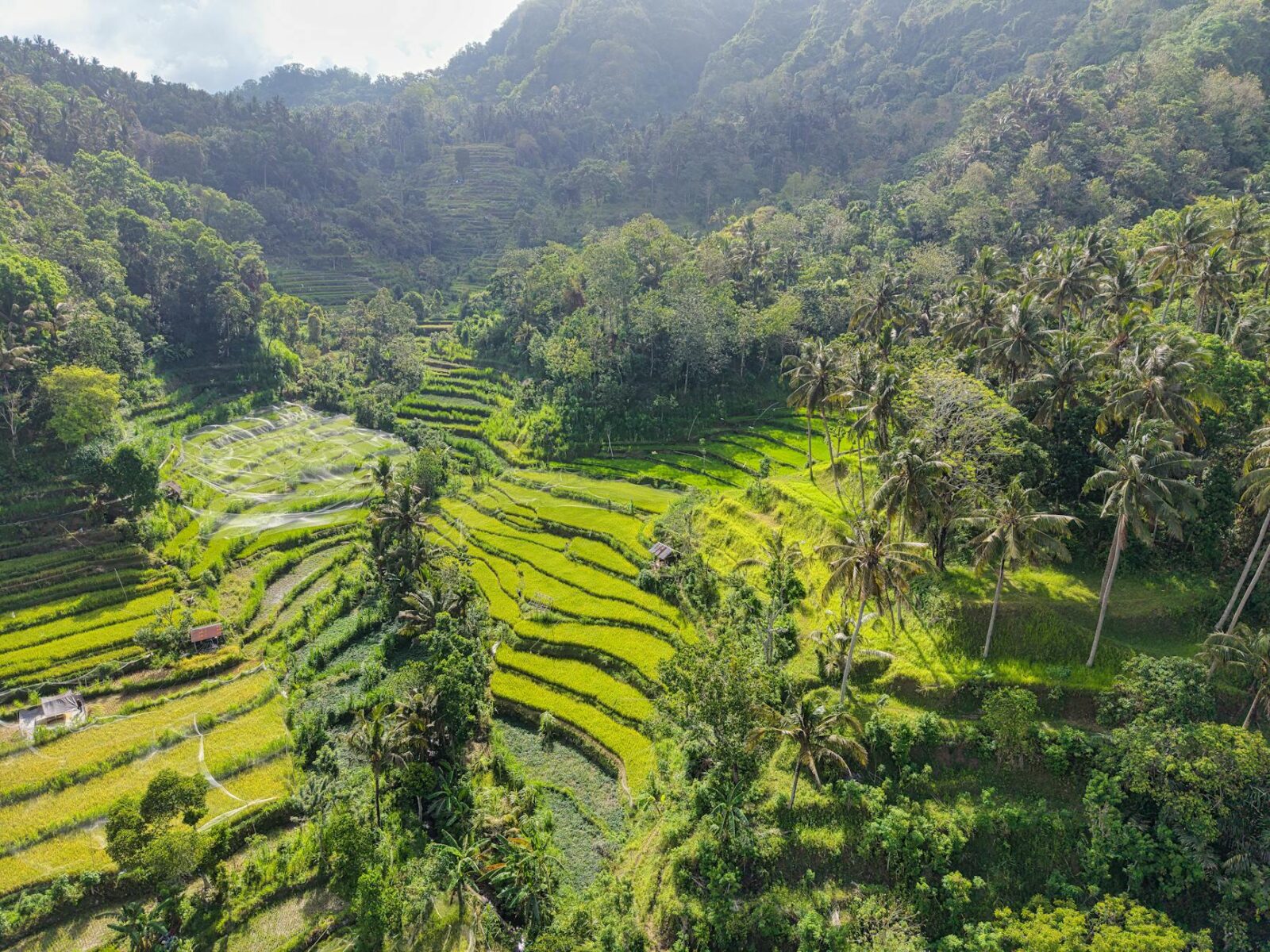 bali digital nomad visa - Photo by Tom Fisk on Pexels