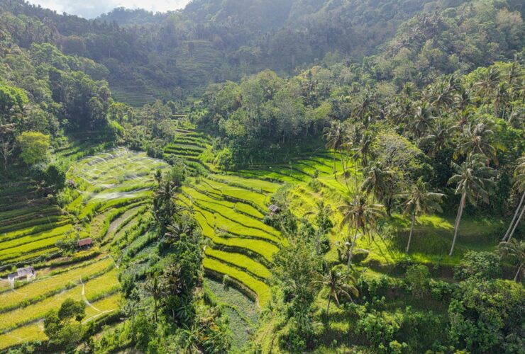 bali digital nomad visa - Photo by Tom Fisk on Pexels