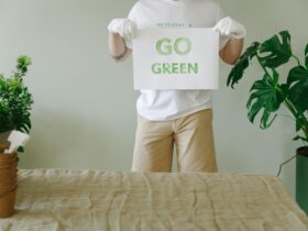 Dame Helen Ghosh named as preferred Chair for the Office for Environmental Protection - Photo by Thirdman on Pexels