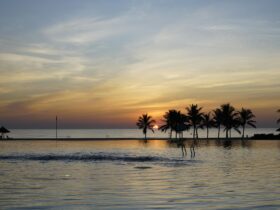 11 Best Villas in Jamaica for Island Vibes and High Design - Photo by chiến bá on Pexels