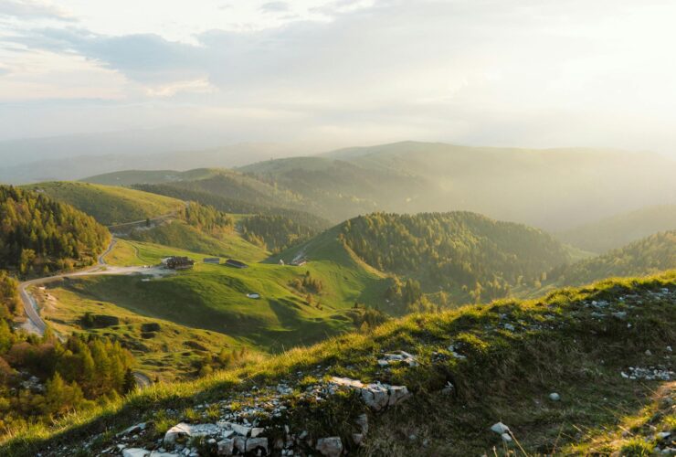 the roku channel - Photo by Cesare Brunello on Pexels