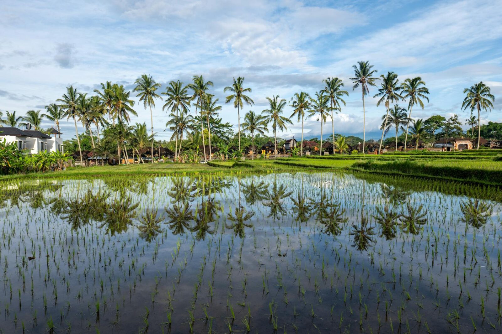 Cheapest Countries to Live as an Expat in 2026 — Updated Guide - Photo by Mark Direen on Pexels