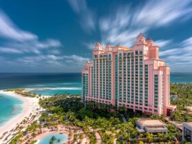 COURTYARD BY MARRIOTT WAIKIKI BEACH UNVEILS MULTI‑MILLION‑DOLLAR TRANSFORMATION - Photo by Skyler Ewing on Pexels