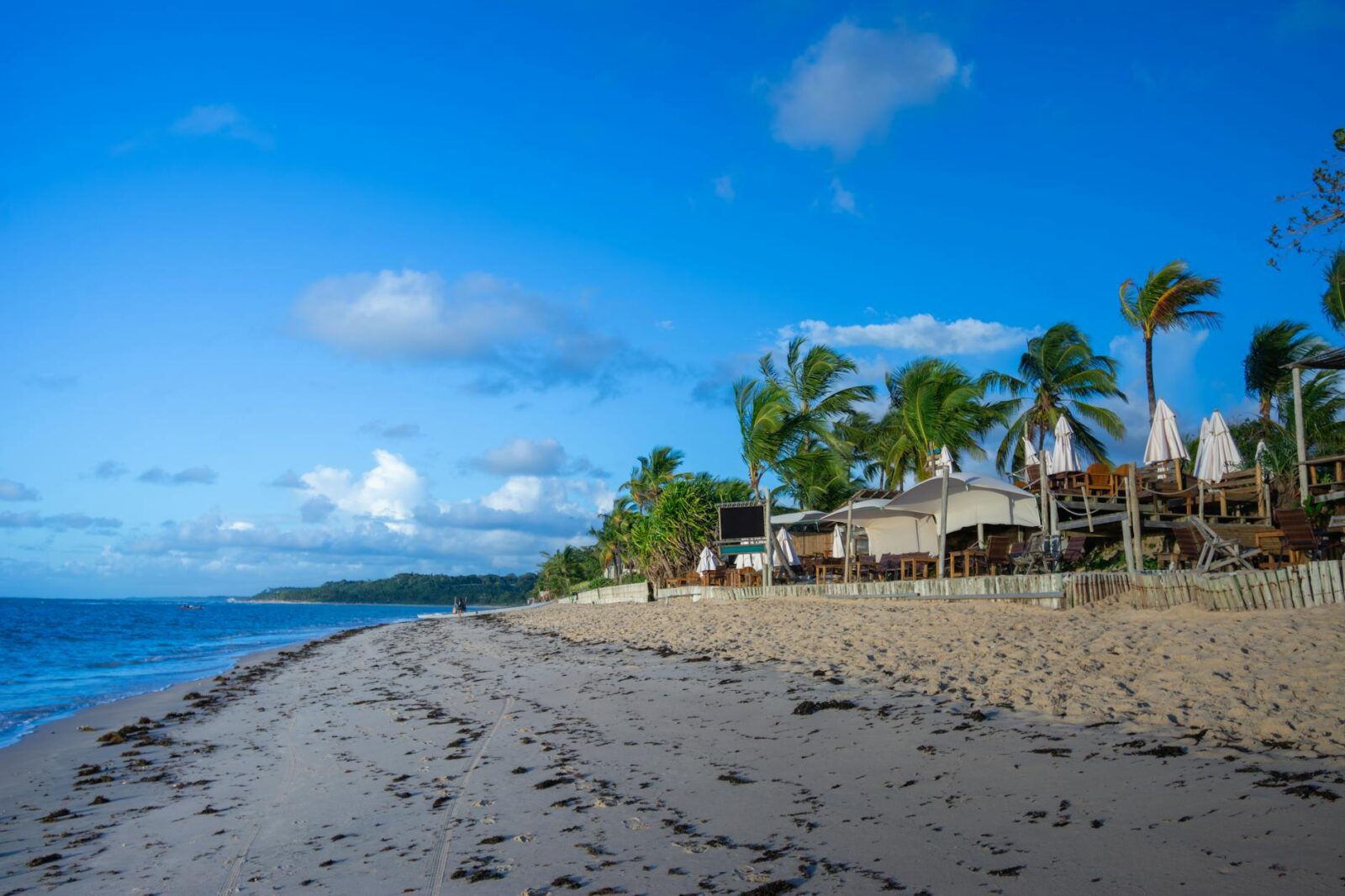 mexico travel advisory - Photo by Jerson Martins on Pexels