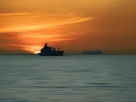 Royal Caribbean Group Officially Launches Royal Caribbean Group Foundation - Photo by Hernan Berwart on Pexels