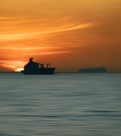 Royal Caribbean Group Officially Launches Royal Caribbean Group Foundation - Photo by Hernan Berwart on Pexels