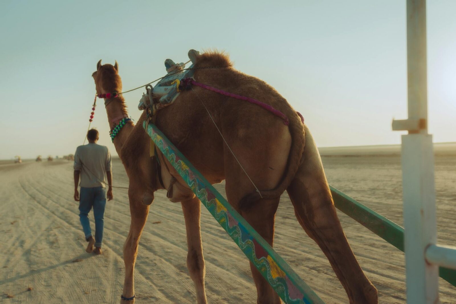 cheap flights google - Photo by santosh bhagat on Pexels