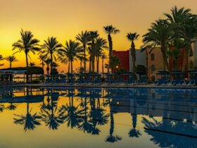 The $7 Billion Loyalty IOU: What Marriott and Hilton Owe Members - Photo by Valera Rychman on Pexels