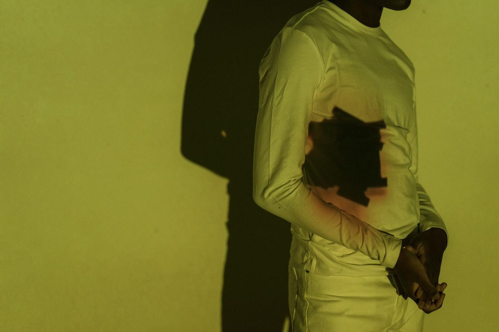 Level 2 - Chikungunya in Mayotte - Photo by Lara Jameson on Pexels