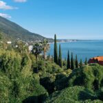 best hotels in kasauli - Photo by Siarhei Nester on Pexels