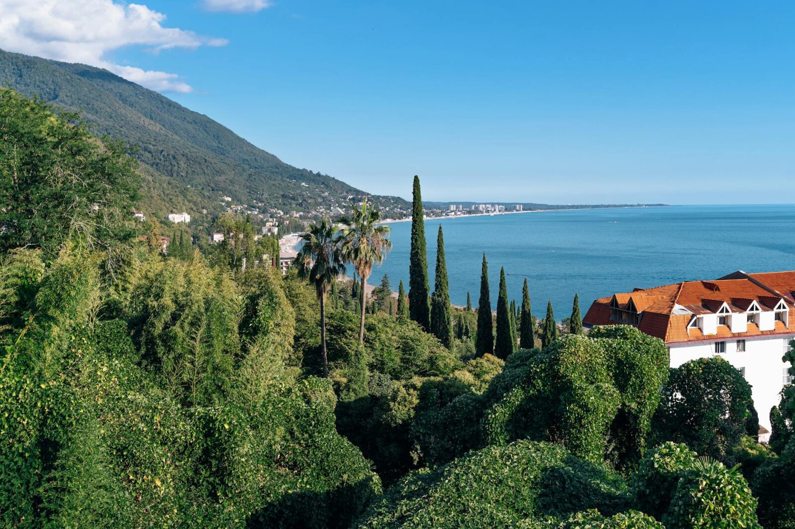 best hotels in kasauli - Photo by Siarhei Nester on Pexels