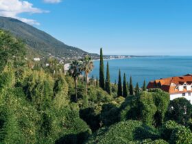 best hotels in kasauli - Photo by Siarhei Nester on Pexels